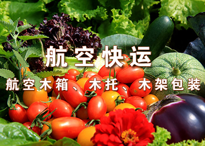 头玩官网下载安装